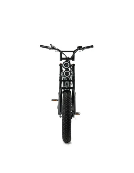 Bicicletta elettrica Engwe M20 stile motociclistico - batteria singola 750w