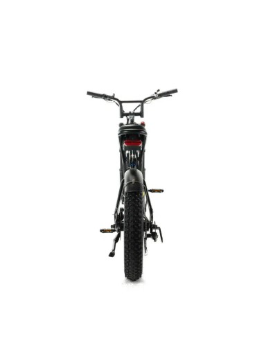 Engwe M20 Motorcycle Style Electric Bike -...