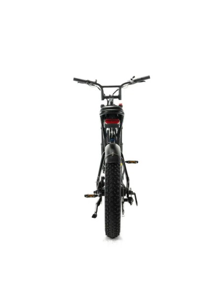 Engwe M20 Elektrofahrrad im Motorradstil - Einzelbatterie 750 W