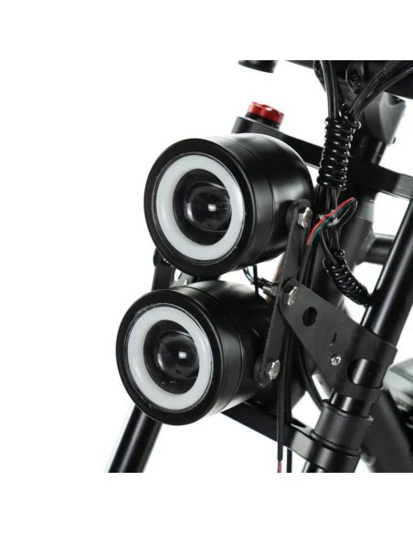 Bicicletta elettrica Engwe M20 stile motociclistico - batteria singola 750w