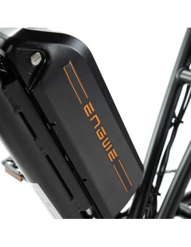 Bicicletta elettrica Engwe M20 stile...