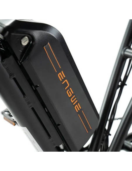 Bicicletta elettrica Engwe M20 stile motociclistico - batteria singola 750w