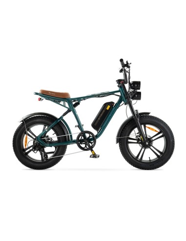 Bicicletta elettrica Engwe M20 stile...