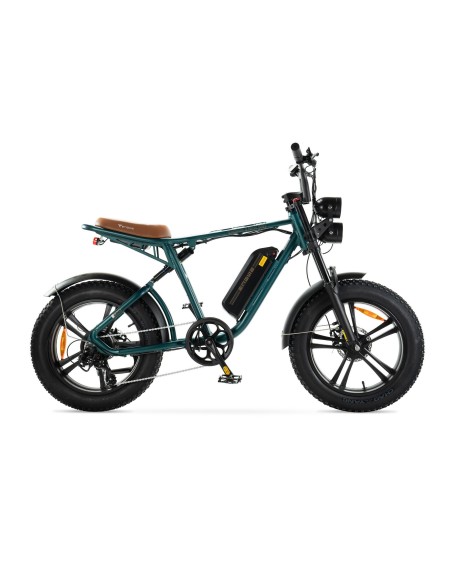 Engwe M20 Elektrofahrrad im Motorradstil - Einzelbatterie 750 W