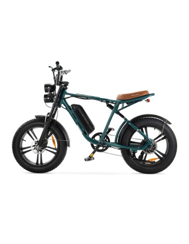 Bicicletta elettrica Engwe M20 stile...