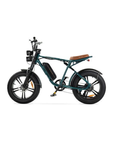 Bicicletta elettrica Engwe M20 stile motociclistico - batteria singola 750w