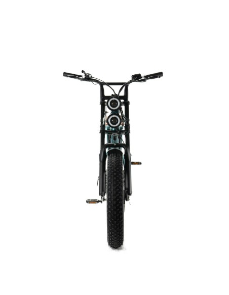 Bicicletta elettrica Engwe M20 stile motociclistico - batteria singola 750w