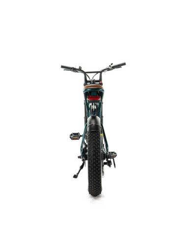 Engwe M20 Elektrofahrrad im Motorradstil -...