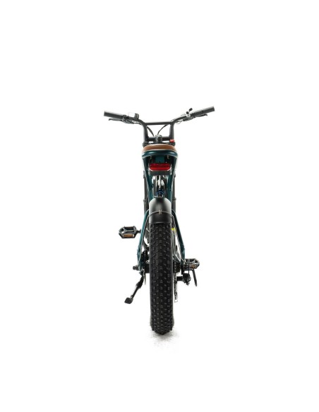 Bicicletta elettrica Engwe M20 stile motociclistico - batteria singola 750w