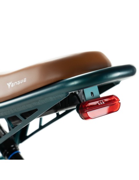 Bicicletta elettrica Engwe M20 stile motociclistico - batteria singola 750w