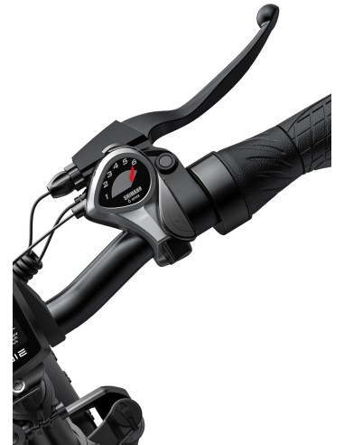 Bicicletta elettrica pieghevole Engwe EP-2 Pro...