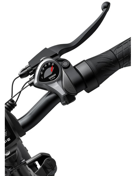 Vélo électrique pliant Engwe EP-2 Pro 250W - noir