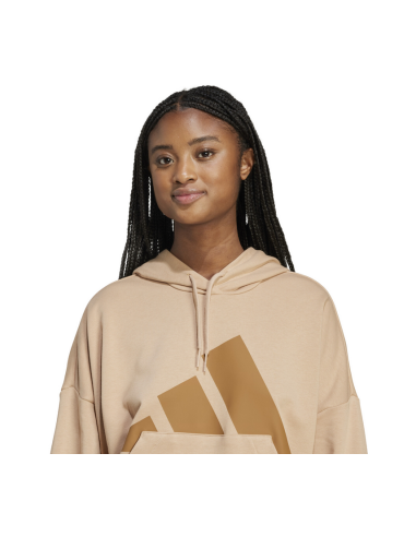 Adidas Essentials Big Logo French Terry Women's...