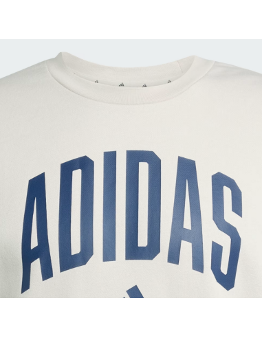 Adidas Collegiate Men's Sweatshirt - Beige