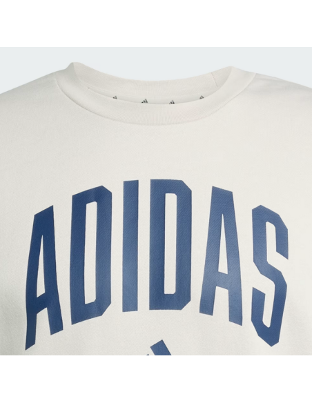 Felpa Uomo Adidas Collegiate - Beige