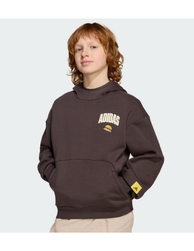 Felpa Ragazzo Adidas The Simpsons - Marrone