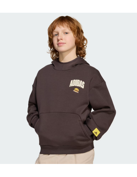 Adidas Simpsons Jungen-Sweatshirt – Braun