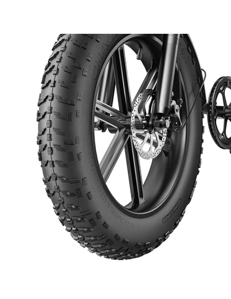 Bicicleta eléctrica ENGWE EP-2 Boost de 20" con batería de 48 V y 13 Ah