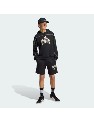 Sudadera Adidas STADIUM LETTERING para niño -...