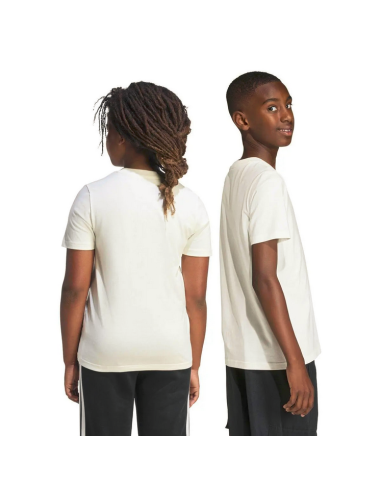 T-Shirt Ragazzo ADIDAS COLLEG T - BIANCO
