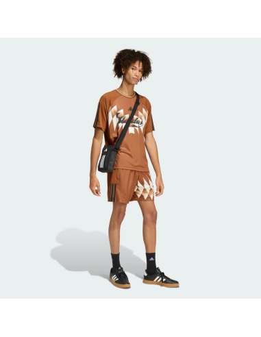 Adidas HOUSE OF TIRO X Men's Shorts - BROWN